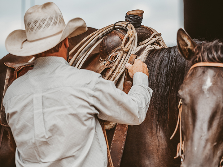 Reeder Cattle